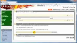 Blackboard - Add a Module Leader