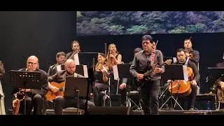 Nacionales N&deg; 3 - Ed Calle / Spirit & Soud Orchestra (En vivo)