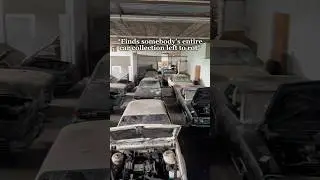 We found a fully abandoned car collection&hellip;🤯
