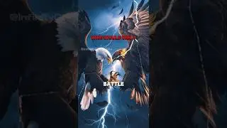 Золотой орел против белоголового орлана | ☠️🦅 #baldeagle #goldeneagle