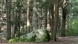 Allegheny National Forest camping #drone