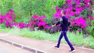 LIIBAAN JIGJIGA OO HEES UQAADAY MADAXWEYNAHA DJIBOUTI 2018 By Setwad Studio