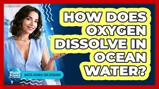 How Does Oxygen Dissolve in Ocean Water?