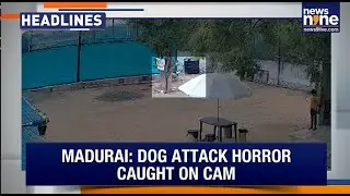 Dog Attack  Horror Caught On Camera : Tamil Nadu | Rs 80 Lakh Spirit Smuggling Bust in Salem | News9