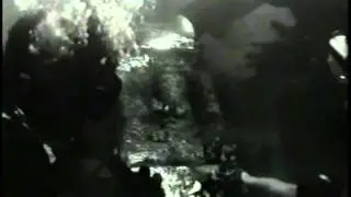 Oppenheimer Funds (2006)