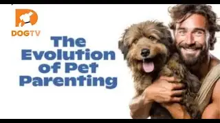 DOG TV The Evolution of Pet Parenting