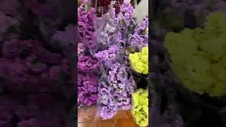 multicolor Statice bunch preserved flower wholesale, factory direct. #sayefloral #statice #preserved