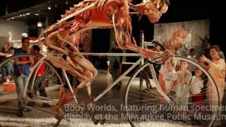 Zoo's exhibit Body Worlds: Animal Inside Out
