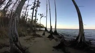 Saturday Trip to Flanners Beach