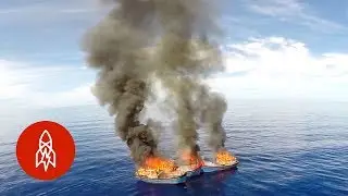 The War Against Poachers in Palau