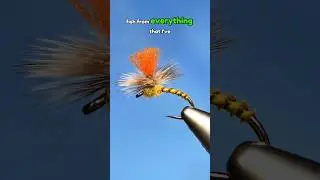 Sulfer Parachute!! #whitingfarms #naturesspiritflytying #fly #flytying