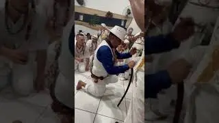 Mestre Aroeira