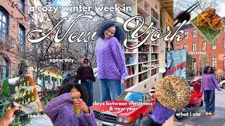 Уютная зима в Нью-Йорке 🗽🚕🍎 книжные магазины, чтение, болтливый видеоблог, просмотр сериала «Домо...