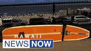 Surfer fights airline for compensation after surfboard snapped on airplane
