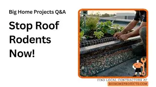 Rodent Barrier Living Wall Drainage Plan for Rooftop Gardens