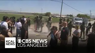 Marijuana company responds to ICE raid at its Camarillo farm