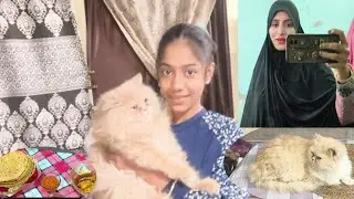 Mashallah Saturday block live Aakar banaya korma aur chana chat 