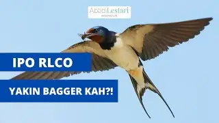 Unboxing RLCO | Si Saham Walet