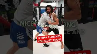 3 MMA Clinches You MUST KNOW  PT 1/2  #fightskills #combatsport #ufc #mma #pfl