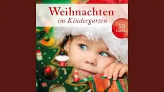 Der Christbaum ist der sch&ouml;nste Baum
