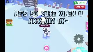 Shopping spree at the new Igloo shop! | Adopt Me!