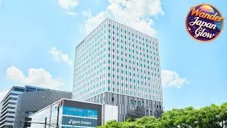 Hotel JAL City Tokyo Toyosu | Tokyo, Japan | Hotel Review 🏨