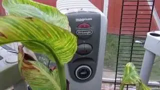 Easy Greenhouse Heating