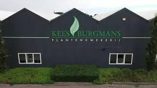 Kees Burgmans Plantenkwekerij B.V.