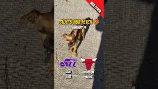Cujo&rsquo;s NBA Fetch | Utah Jazz vs Chicago Bulls 🐕 01-14-2026 NBA Basketball #CujoCatches