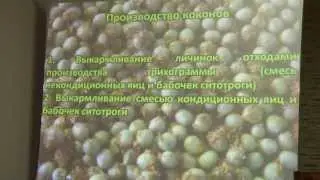 Сапожникова М.Н. Технология производства златоглазки (Chrysoperla carnea).Биометод в Защите Растений