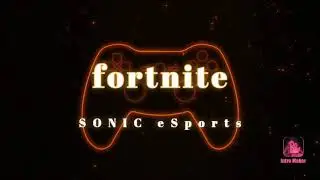 welcome to Sonic eSports fortnite team