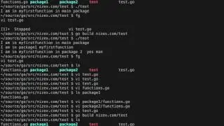 Functions and Structures in Golang
