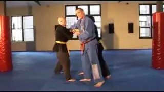 Preview: Rick Spain - Chi Sao Advanced