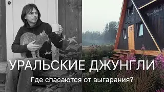 Бизнес на ГОСТЕВЫХ ДОМАХ, так ли все просто? Сбежать от городской суеты в деревенский А-фрейм.
