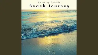 Soft Night Ocean Noises Trip for Total Relax