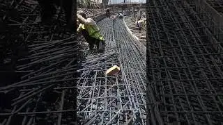 الكانات الصليبه