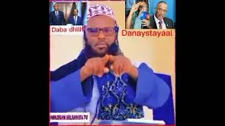 Sheekh Mahad Cadaad - xaalka waddanku marayo - Talooyin qiimo badan