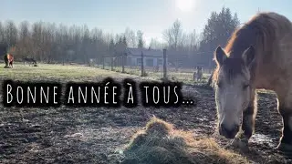 Начинается новый год