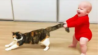 Best Videos Of Funny Twin Babies Compilation | Funny Videos | Funny Furry