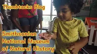 Kid View - Museum of Natural History in DC