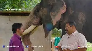 നെല്ലിക്കാട് മഹാദേവനെ പറ്റി അവന്റെ വീട്ടുകാർ-HarishNampoothiripad about Nalliyakkatu Mahadevan|EPI19