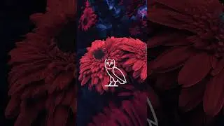 (FREE) Drake Type Beat - 