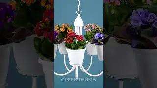 How to hang indoor flowers 🌺 #shorts #plant #indoor #flower #garden #diy