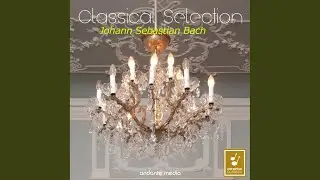 Brandenburg Concerto No. 1 in F Major, BWV 1046: I. &mdash;