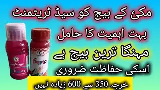 Best Seed treatment for Maize | How to improve maize seed germination in winter |agriculture wisdom