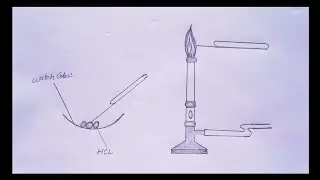 10th chemistry practical 10.1 drawing | flame test experiment drawing