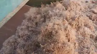 Head marala flood high flood alert in head marala chenab 2022 #Zubair Vlogers