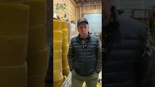 Pojasta polvi paranee
