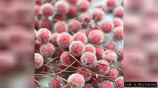 20pcs Mini Fake Plastic Fruit Artificial Flowers Frost Glass Berries Stamen Cherry DIY Bouquet for P