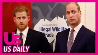 Prince William&rsquo;s &lsquo;Conflict&rsquo; With Harry Has Heightened After Doc